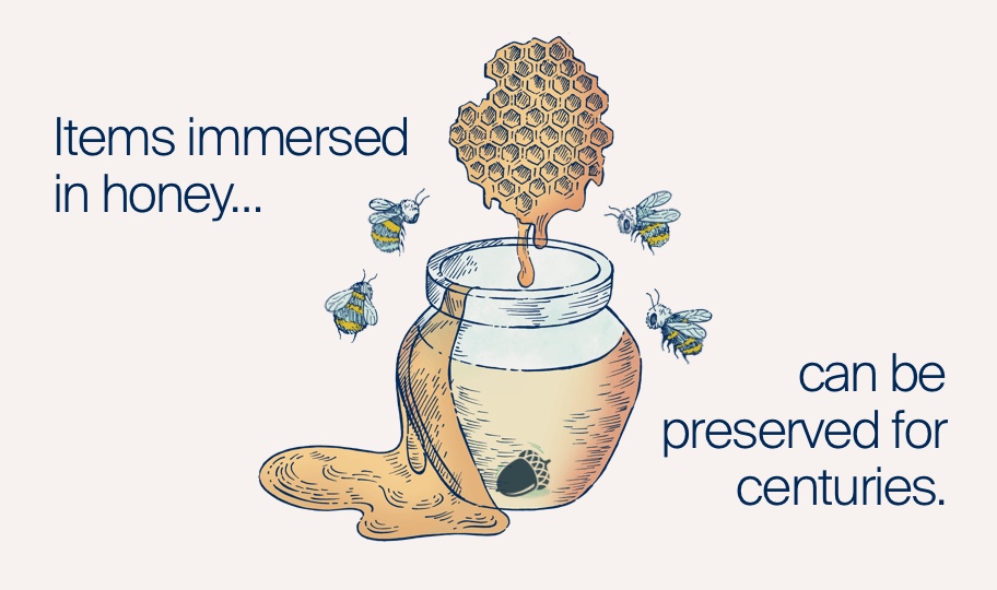 curious-carousel-coloured-honey.png