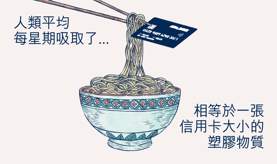 curious-carousel-coloured-noodle-tc.jpg