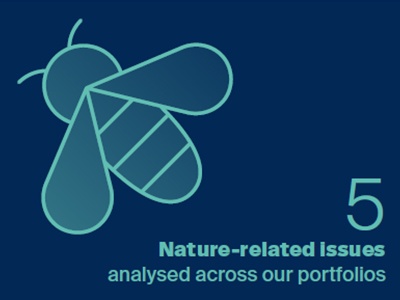 5 nature-related issues analysed across our portfolios