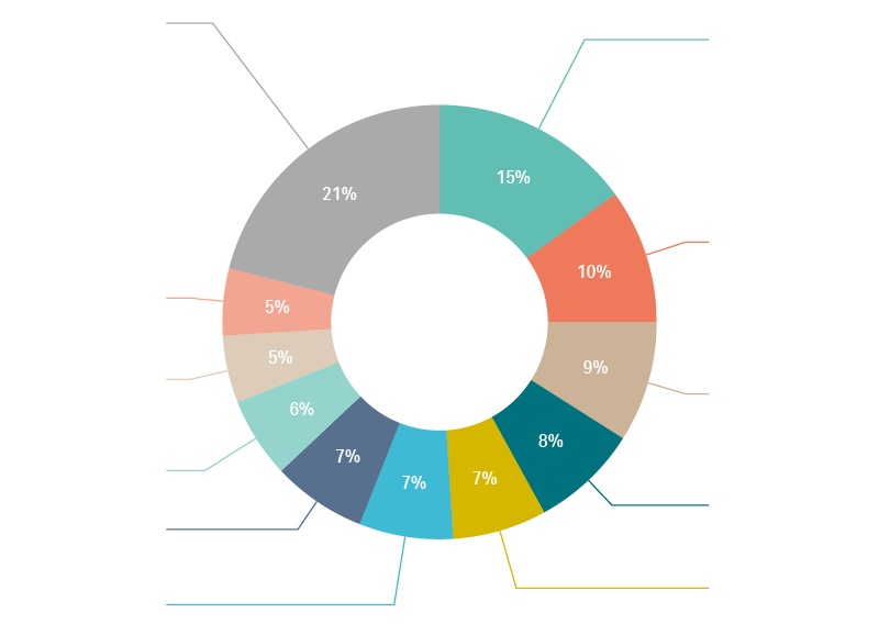 pie chart